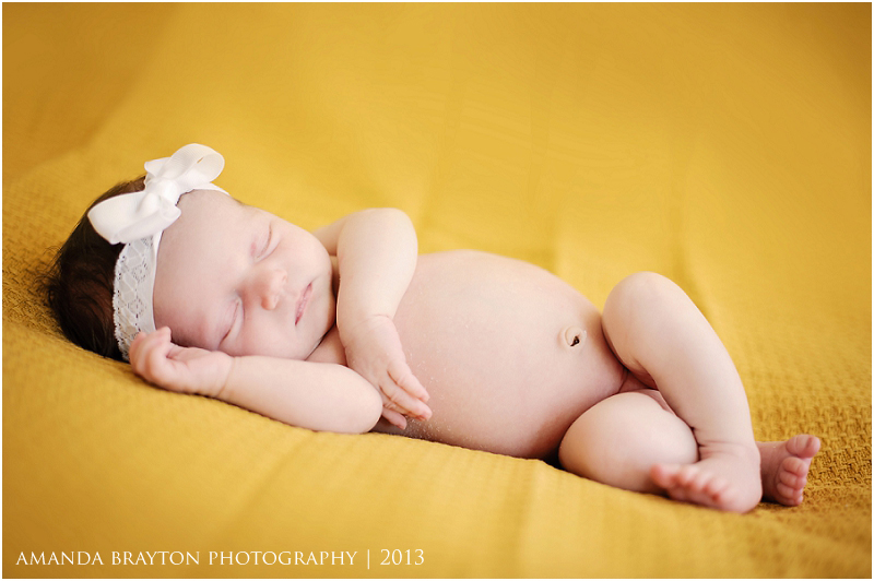 Newborn Photography Wisconsin