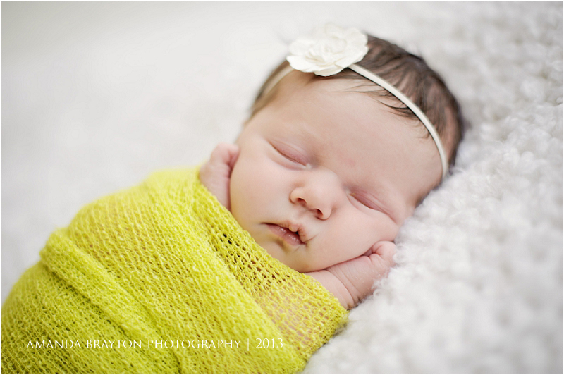 Wisconsin Newborn Photographer